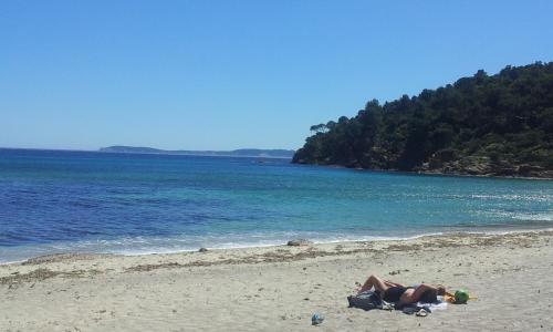Duplex Vue sur Mer et Pieds dans l'eau Plage de Pramousquier