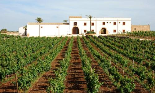 Agriturismo Baglio Donnafranca Wine Resort