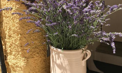 Casa Angela CIR 0057