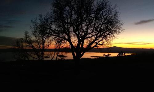 Casa vacanze La quercia del Re