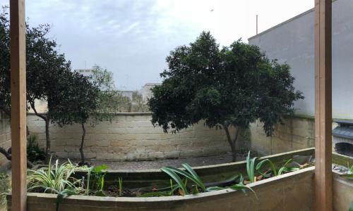 Monterussi Bed and Breakfast