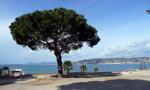 appartement de charme coeur de Juan & Plages