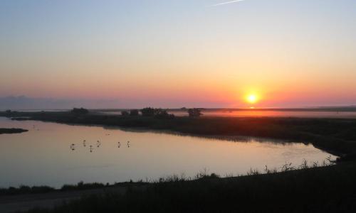 chambre les flamants vue sur les étangs petit déjeuner compris