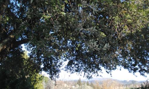 Agriturismo Fattoria di Malavolta