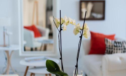 Les Gîtes de Claire