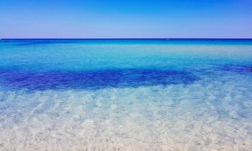 Free Beach Holiday Home