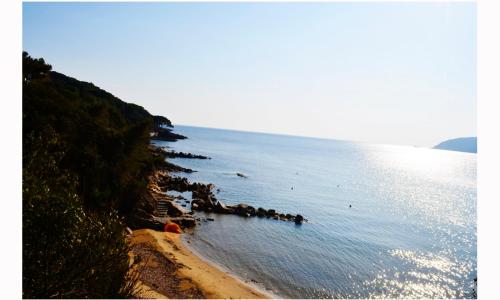 Apt. Calanchiole by SolturElba