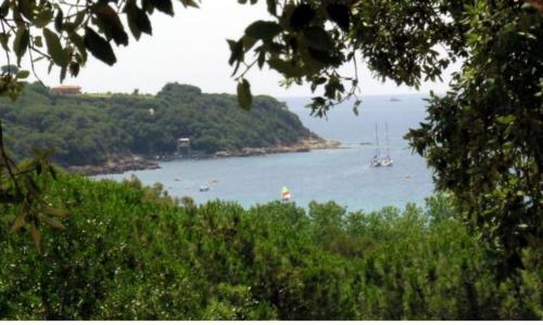 Villa Colle Lido by Agenzia SolturElba