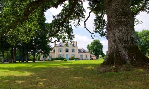 Château Du Pin - Teritoria