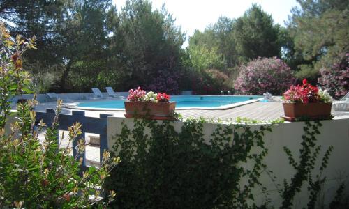 Manade Cavallini - Mas de Pioch