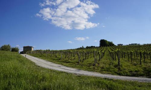 Agriturismo Il Casolare Di Bucciano