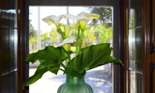 Gorgo Rinaldi - Locazioni brevi