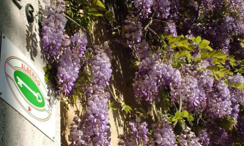 Locanda Sant'Anna Hotel