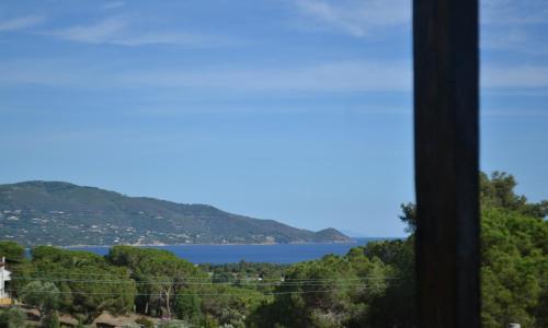 Appartamento Fillirea