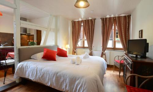 RIBEAUVILLE city center - Gîte des Ménétriers, LE RIESLING -