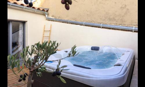 Nid d'amour à l'Isle sur la Sorgue