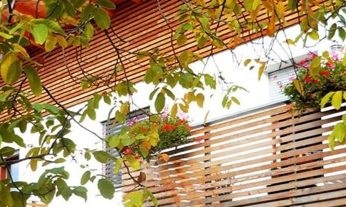 Appartements Schusterbauer