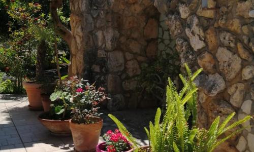 Casa Vacanze Spiaggia Playa