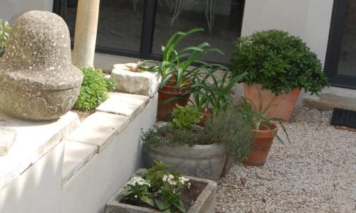 Le Clos De L'olivier Charmente Maison De Village