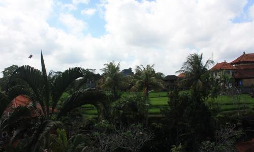 Raditia Homestay