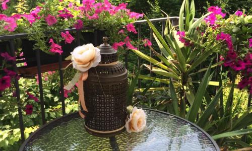 Bed & Breakfast Canova