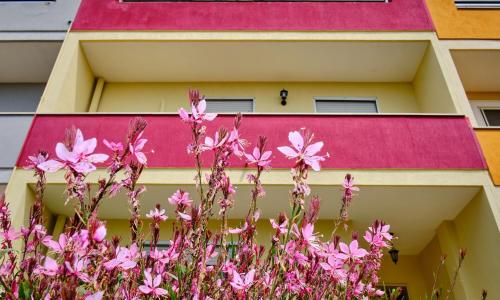 Appartamento Lavinia