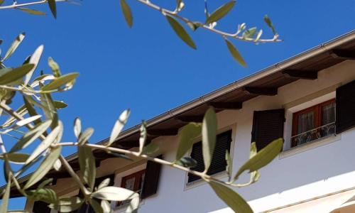 La Tana dei Sognatori - appartamenti con giardino