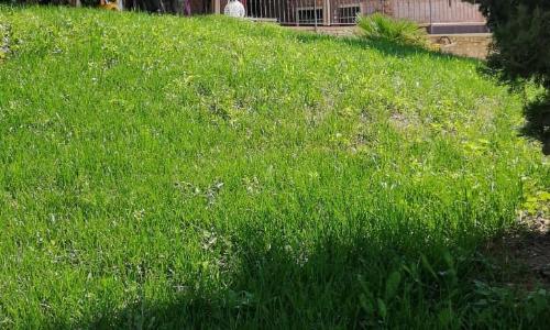 Il Casale Della Gioia