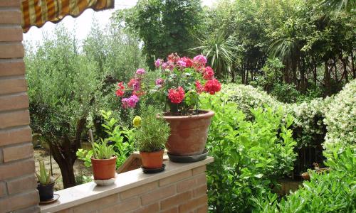 B&B Le Palme