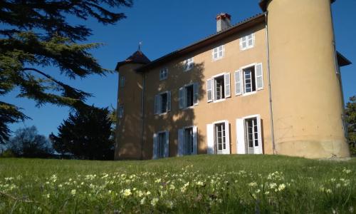 Château La Violette