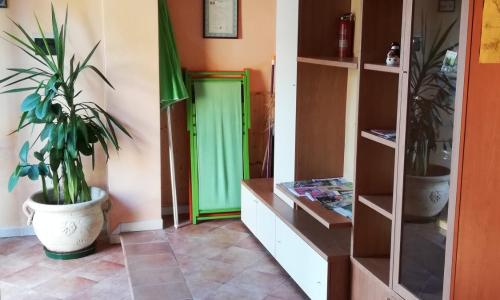 SUARA Affitti - bike