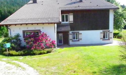 LES CŒURS DU TILLEUL