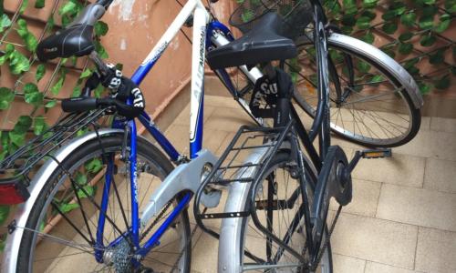 George House Mondello 32