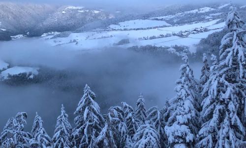 Forchnerhof-App Rienzschlucht