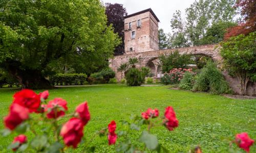 Massimago Wine Tower
