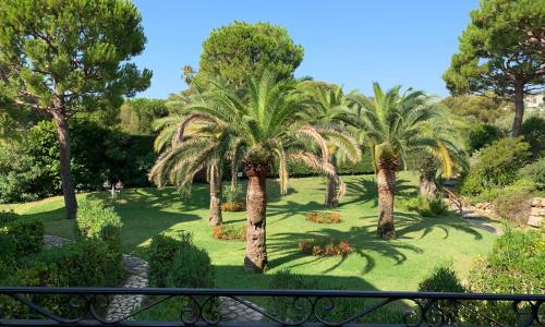 Appartement agréable en bord de mer