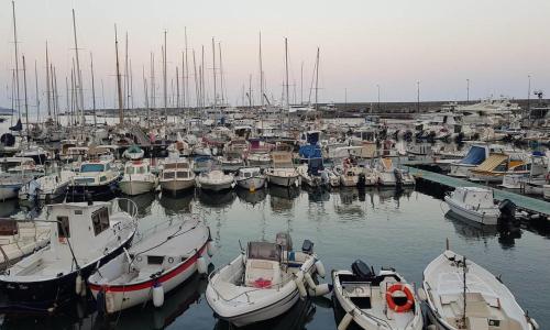 La casa di Ulisse 008055- LT0806