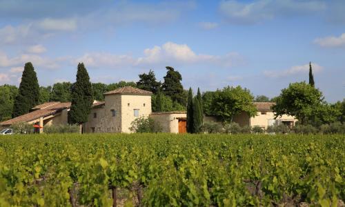 Gite des amis Domaine de Mas Caron