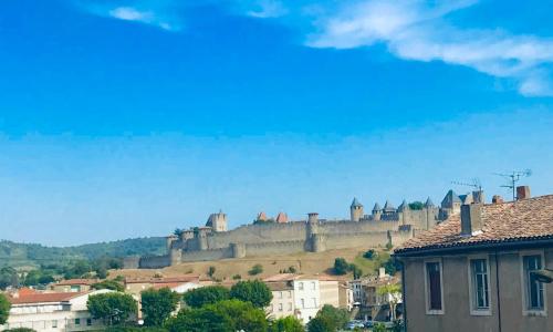 T2 cocooning vue panoramique Cité