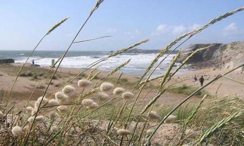 Appartement terrasse esprit loft vue sur mer