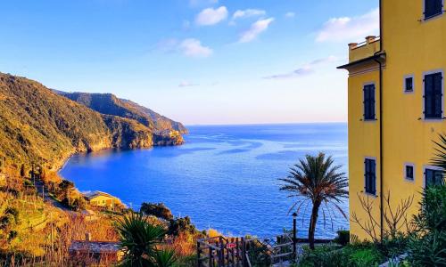 NEW 2024 Hanging Garden