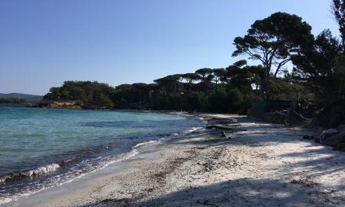 appartement a six fours/le brusc