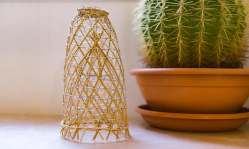 LA NASSA SUITES & ROOMS