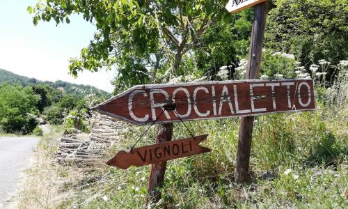Vignoli