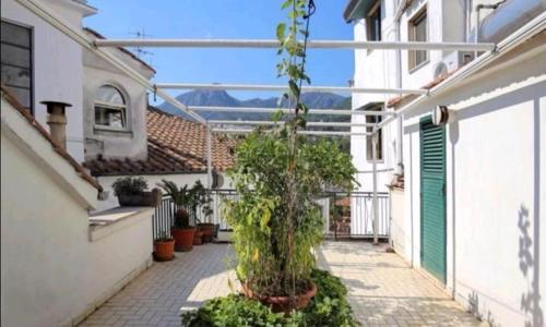 bb Al Centro Di Vietri