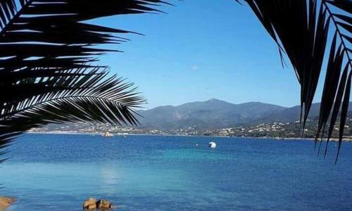 APPARTEMENT T2 IMPERIAL