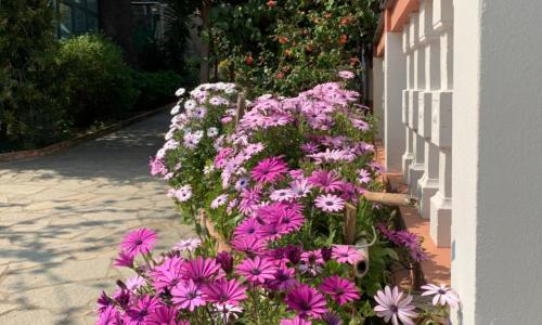 Resort Villa Rosa Maria