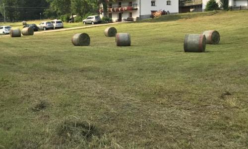 Flora Alpina apartments-Residenza Verdebjo