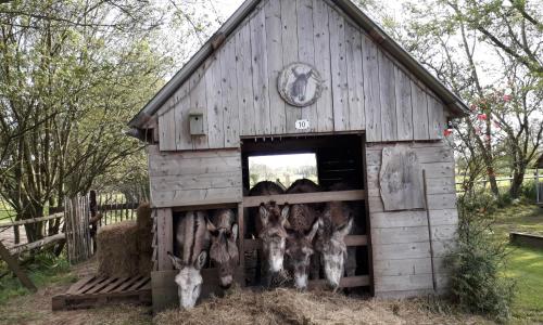 Chambres d'Hôtes Côté Campagne