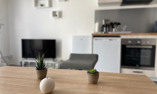 Grand studio confortable et spacieux avec terrasse